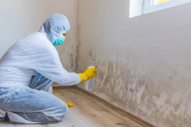 Best Mold Removal for HVAC Installations  in Redfield, SD